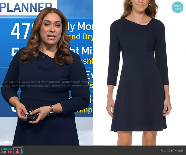 DKNY Jewel Neck Scuba Crepe Fit and Flare Dress worn by Violeta Yas on Today