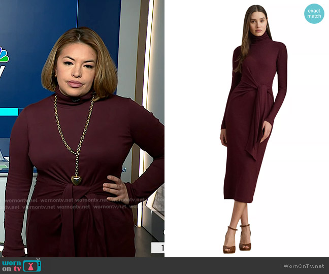 Lauren Ralph Lauren Tie Front Turtleneck Dress in Red worn by Gilma Avalos on NBC News Daily