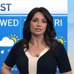 Maria’s black contrast trim knit dress on Today
