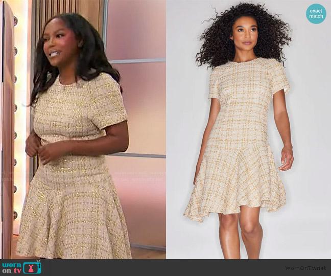 Natori Sparkle Tweed Short Sleeve Flounce Dress worn by Makho Ndlovu on Sherri