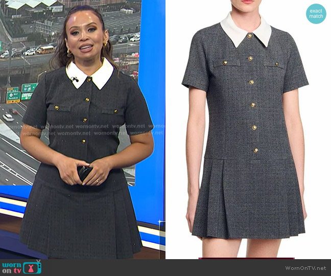 Sandro Mini Pleated Dress With Rhinestones worn by Adelle Caballero on Today
