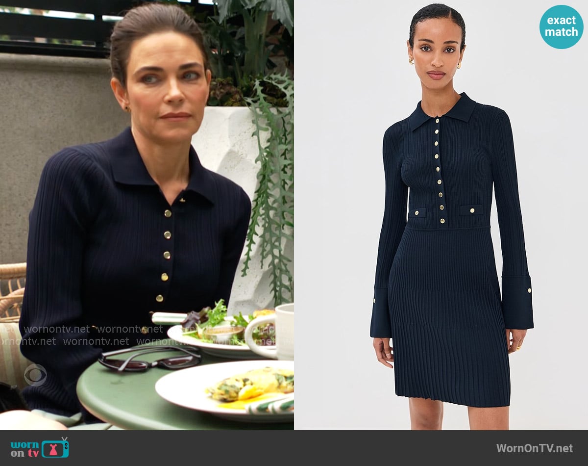 Veronica Beard Lauper Dress worn by Victoria Newman (Amelia Heinle) on The Young and the Restless