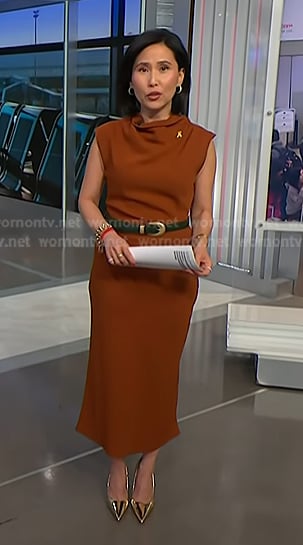 Vicky’s brown belted dress on NBC News Daily