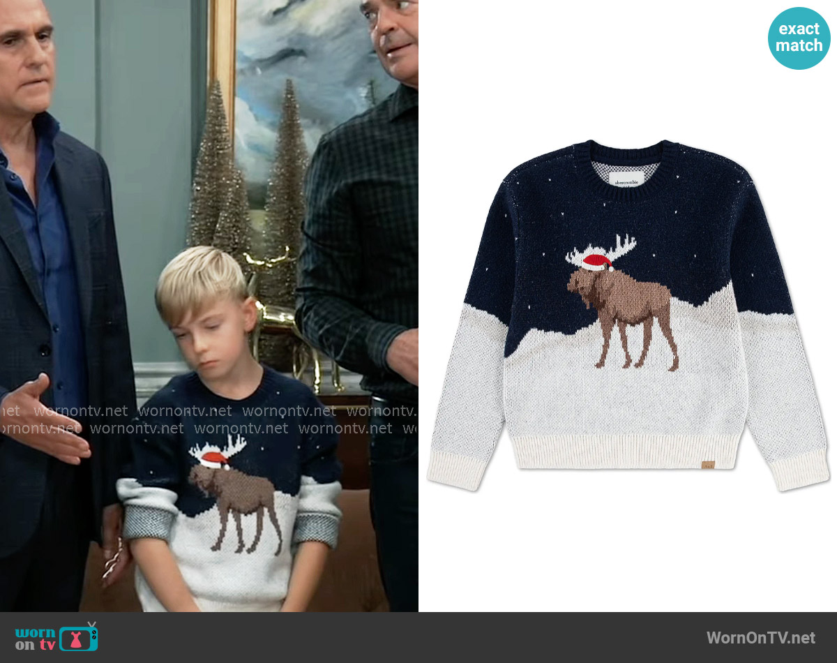 Abercrombie Kids Moose Sweater worn by Wiley Corinthos (Viron Weaver) on General Hospital