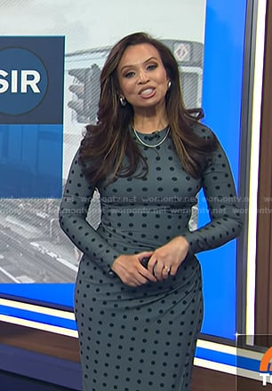 Adelle’s blue polka dot dress on Today