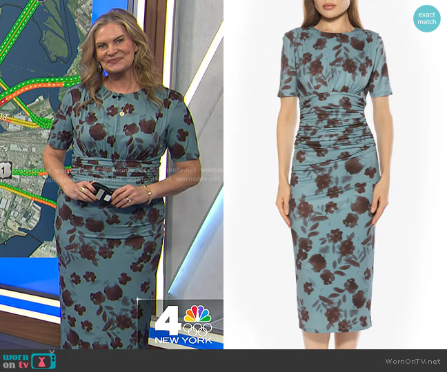 Alexia Admor Keaton Sheath Dress in Blue Floral worn by Emily West on Today