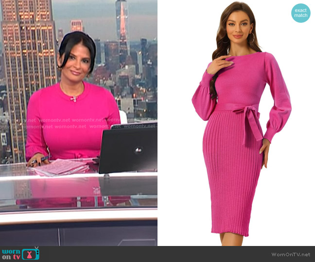 Allegra K Knit Belted Sweater Dresses in Plum worn by Darlene Rodriguez on Today