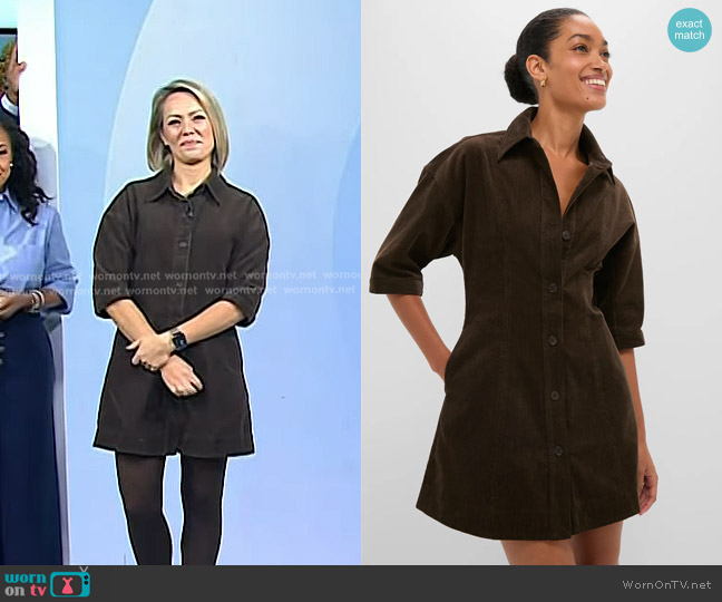 Apiece Apart Carob Luz Mini Dress worn by Dylan Dreyer on Today