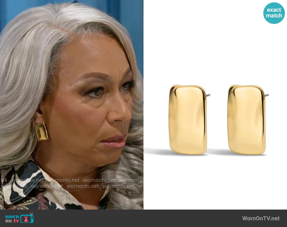 Electric Picks Supermodel 90s Flat Statement Earrings worn by Anita Dupree (Tamara Tunie) on Beyond the Gates