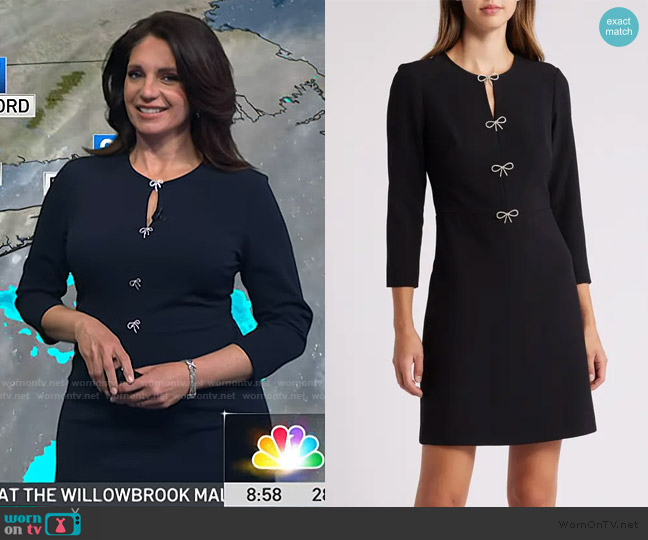 Eliza J Bow Embellished A-Line Dress worn by Maria Larosa on Today