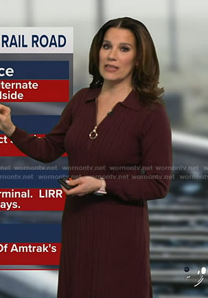 Heather’s burgundy cable knit dress on Good Morning America
