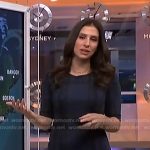 Angie Lassman’s blue plaid dress on NBC News Daily