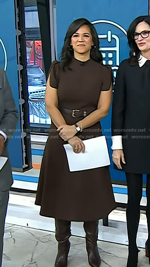 Laura’s brown tulip sleeve dress on Today