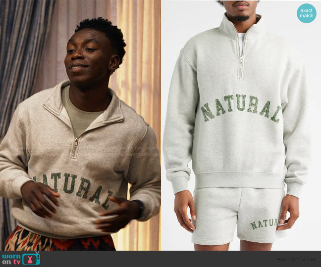 Museum of Peace & Quite Arch Pigment Dyed Half Zip Graphic Sweatshirt worn by Carlton Banks (Olly Sholotan) on Bel-Air