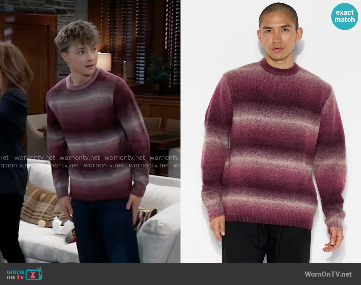 Original Use Oversized Crewneck Sweater in Plum Purple worn by Danny Morgan (Asher Jared Antonyzyn) on General Hospital