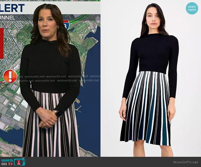 Robbie Bee Long-Sleeve Pleated-Skirt Sweater Dress worn by Heather O’Rourke on Good Morning America