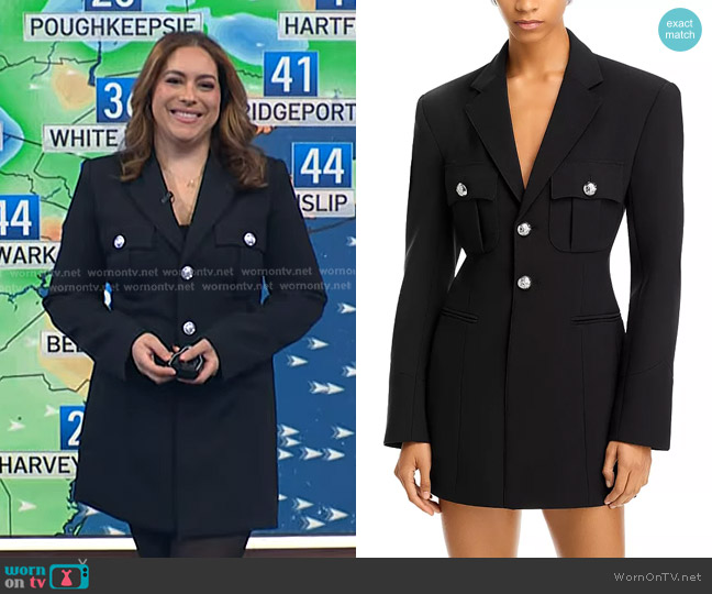 Ronny Kobo Samantha Blazer Dress worn by Violeta Yas on NBC News Daily
