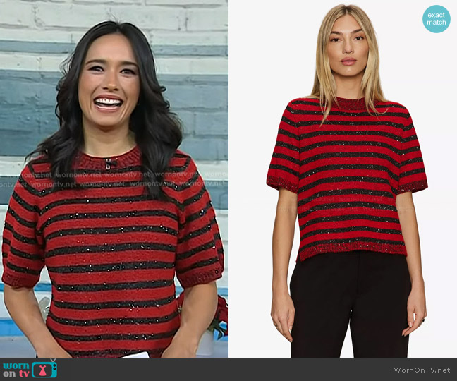 Sanctuary Short-Sleeve Shine Sweater T-Shirt worn by Emilie Ikeda on Today
