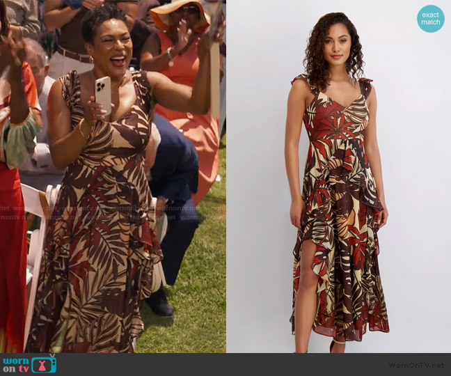 Siena Sleeveless Chiffon A-Line Dress worn by Aunty Vy (April Parker Jones) on Bel-Air