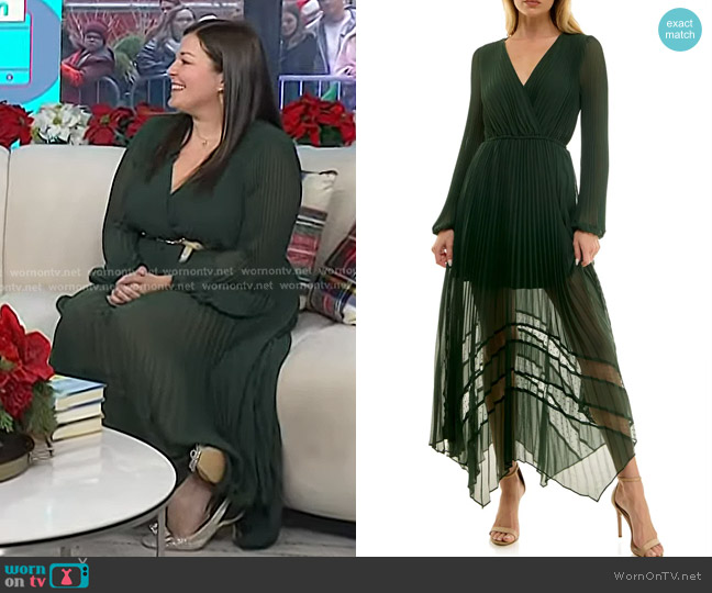 Socialite Lace Inset Pleated Chiffon Dress in Deep Hunter worn by Katie Fulton on Today