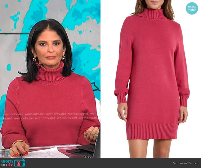 Splendid Freya Turtleneck Long Sleeve Sweater Minidress worn by Darlene Rodriguez on Today