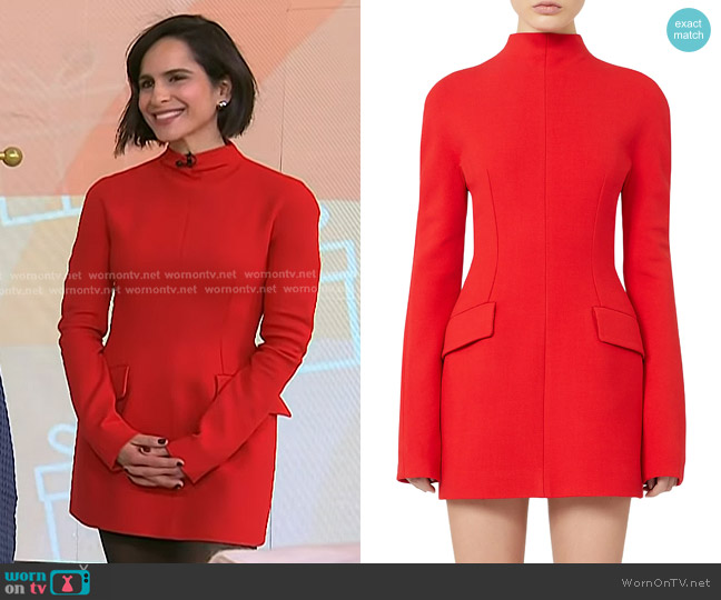 Sportmax Tefrite Long Sleeve Jersey Minidress worn by Bahar Takhtehchian on Today