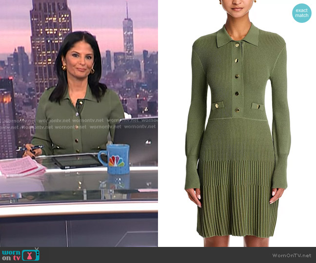 Veronica Beard Lauper Dress in Stone Army worn by Darlene Rodriguez on Today