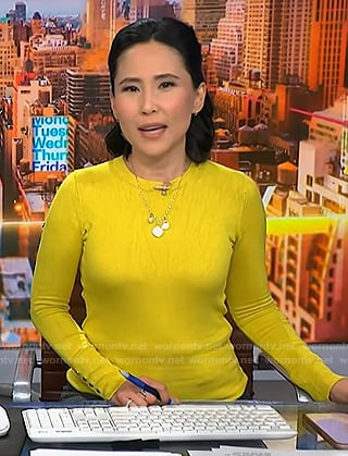 Vicky’s yellow sweater on NBC News Daily