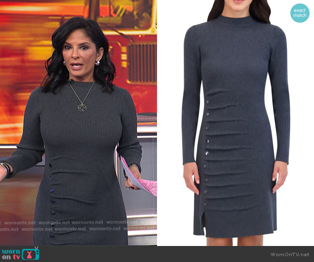 Vince Camuto Stud Accent Long Sleeve Dress worn by Darlene Rodriguez on Today