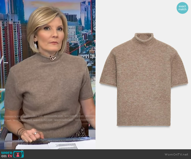 Zara Soft Knit Short Sleeve Sweater in Light Mink worn by Kate Snow on NBC News Daily