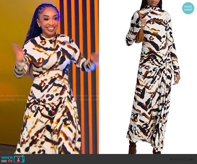 A.L.C. Lia Long-Sleeve Maxi Dress worn by Ashley R. Whitfield on Tamron Hall Show