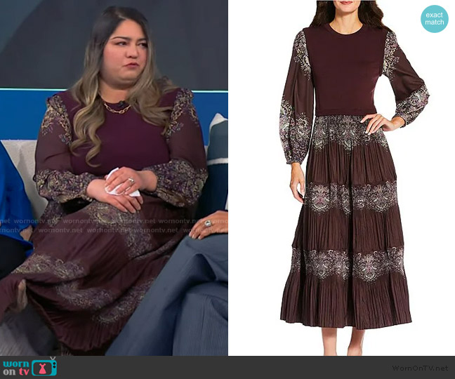 Current Air Pleated Tiered Crew Neck Long Sleeve Twofer Midi Dress worn by Jessica Roberts on Tamron Hall Show