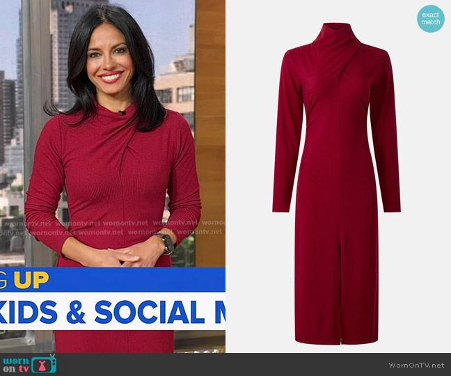 Fifteen Twenty Tasha Turtleneck Midi Dress worn by Dr. Tara Narula on Good Morning America