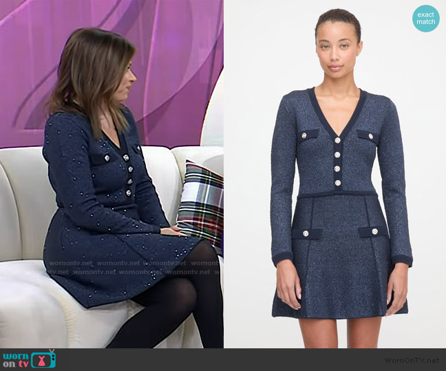Hill House Home The Lana Dress in Navy Sequin worn by Chloe Melas on Today