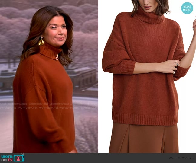Jenni Kayne Porter Cashmere Turtleneck Sweater worn by Ana Navarro on The View