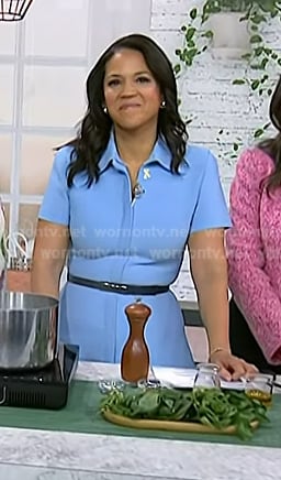 Laura’s blue collared short sleeve dress on Today