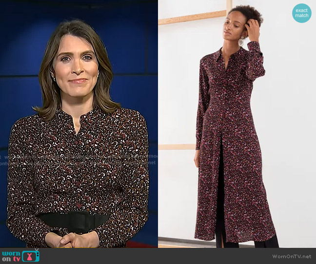 & Other Stories Micro Floral Midi Shirt Dress worn by Molly Hunter on Today
