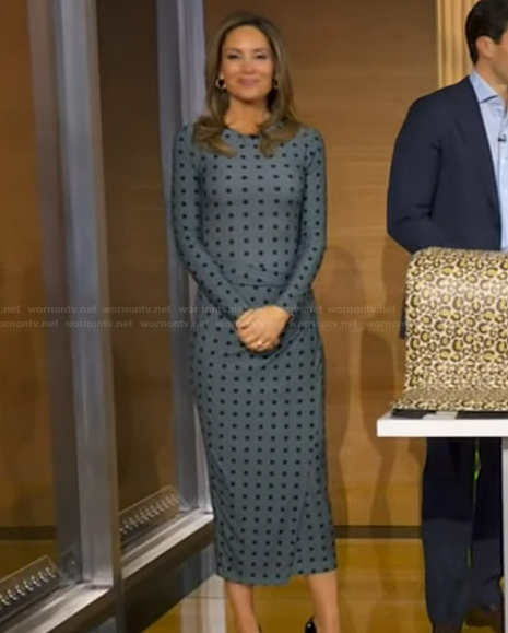 Rhiannon’s blue polka dot print mesh dress on Good Morning America