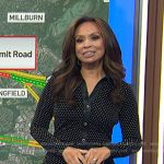 Adelle’s black polka dot leather trim dress on Today