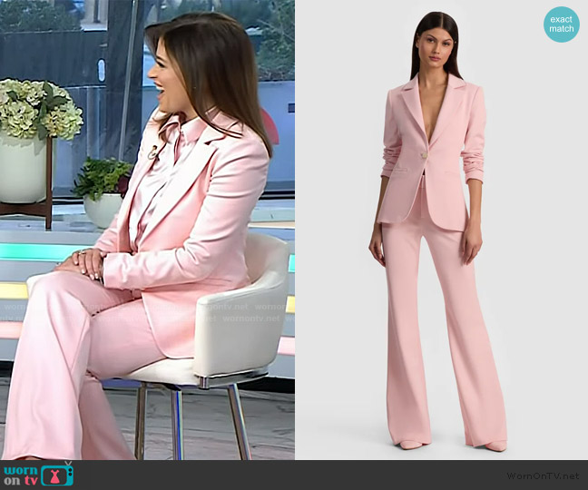 Alice + Oliver Blake Fitted Blazer worn by Chloe Melas on Today