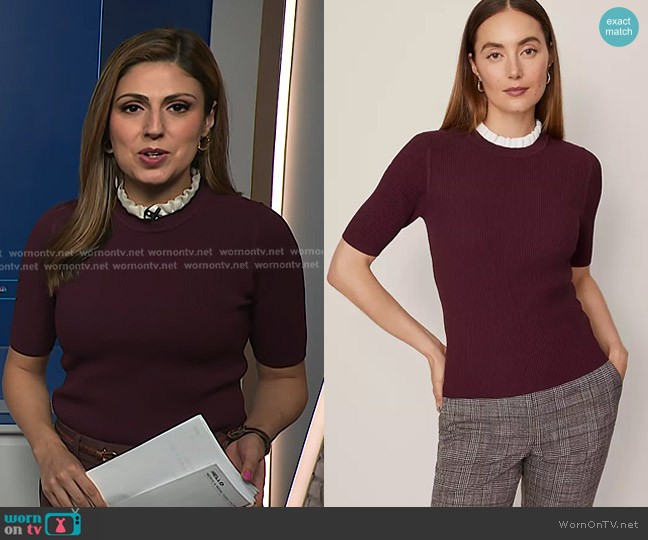 Ann Taylor Ruffle Neck Ribbed Sweater in Poised Plum worn by Rana Novini on NBC News Daily