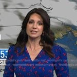 Maria’s blue floral v-neck dress on Today
