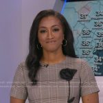 Brittany’s grey plaid floral applique dress on Good Morning America