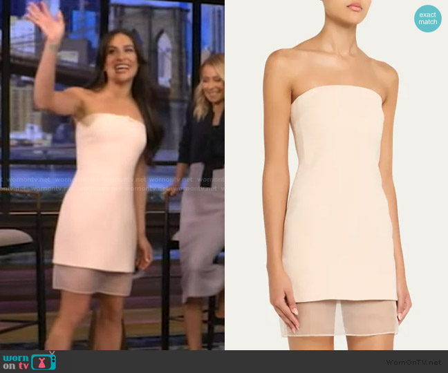 Esse Studios Issia Strapless Mini Dress worn by Lea Michele on Live with Kelly and Mark