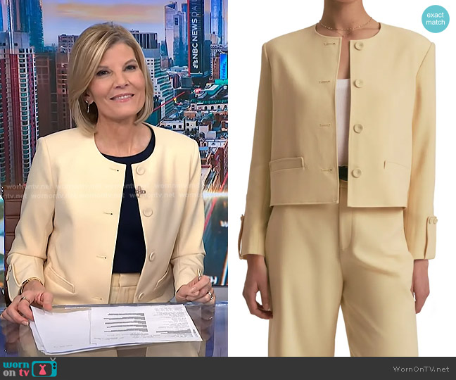 Favorite Daughter The Aurora Jacket in Blondie worn by Kate Snow on NBC News Daily