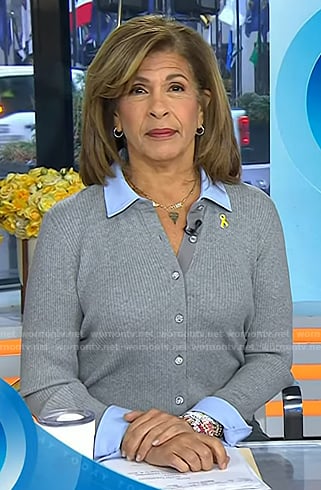 Hoda’s grey collared cardigan on Today