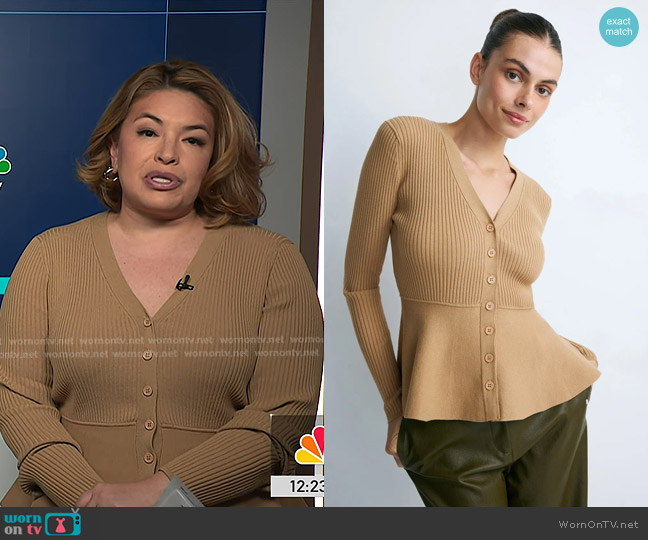 Jason Wu Tan V-Neck Cardigan worn by Gilma Avalos on NBC News Daily