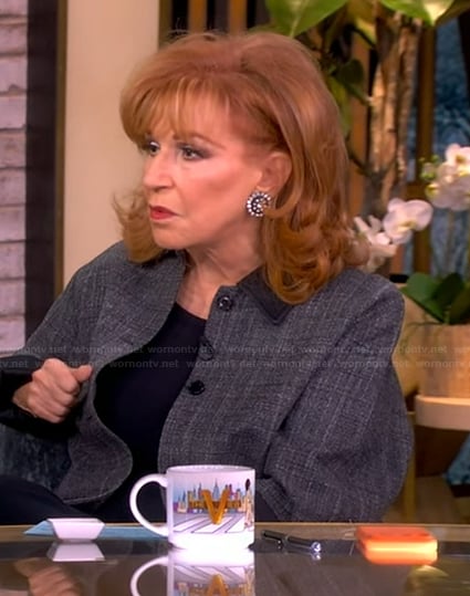 Joy’s gray jacket with leather collar on The View