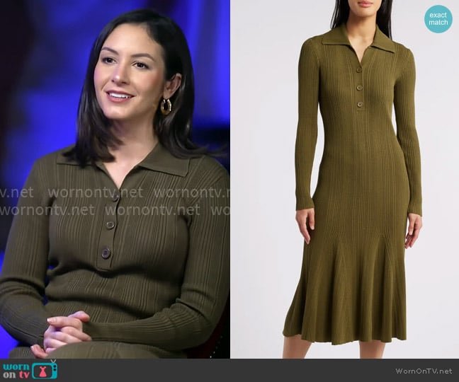 Julia Jordan Variegated Rib Long Sleeve Midi Sweater Dress in Avocado worn by Ali Bauman on CBS Mornings