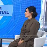 Vicky’s bornw long sleeve poplin dress on Today